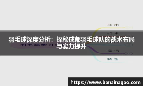 羽毛球深度分析：探秘成都羽毛球队的战术布局与实力提升