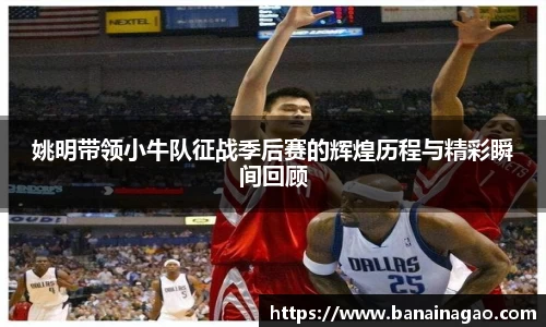 姚明带领小牛队征战季后赛的辉煌历程与精彩瞬间回顾